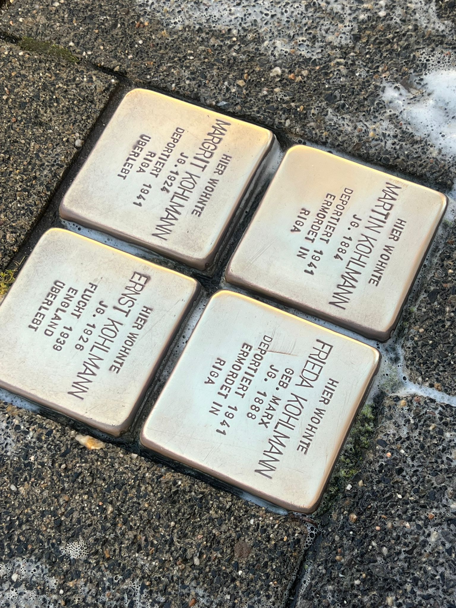 Reinigung der Stolpersteine – Der Lauerhaas in Aktion
